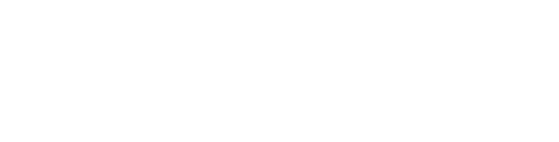 The Wellness Lounge